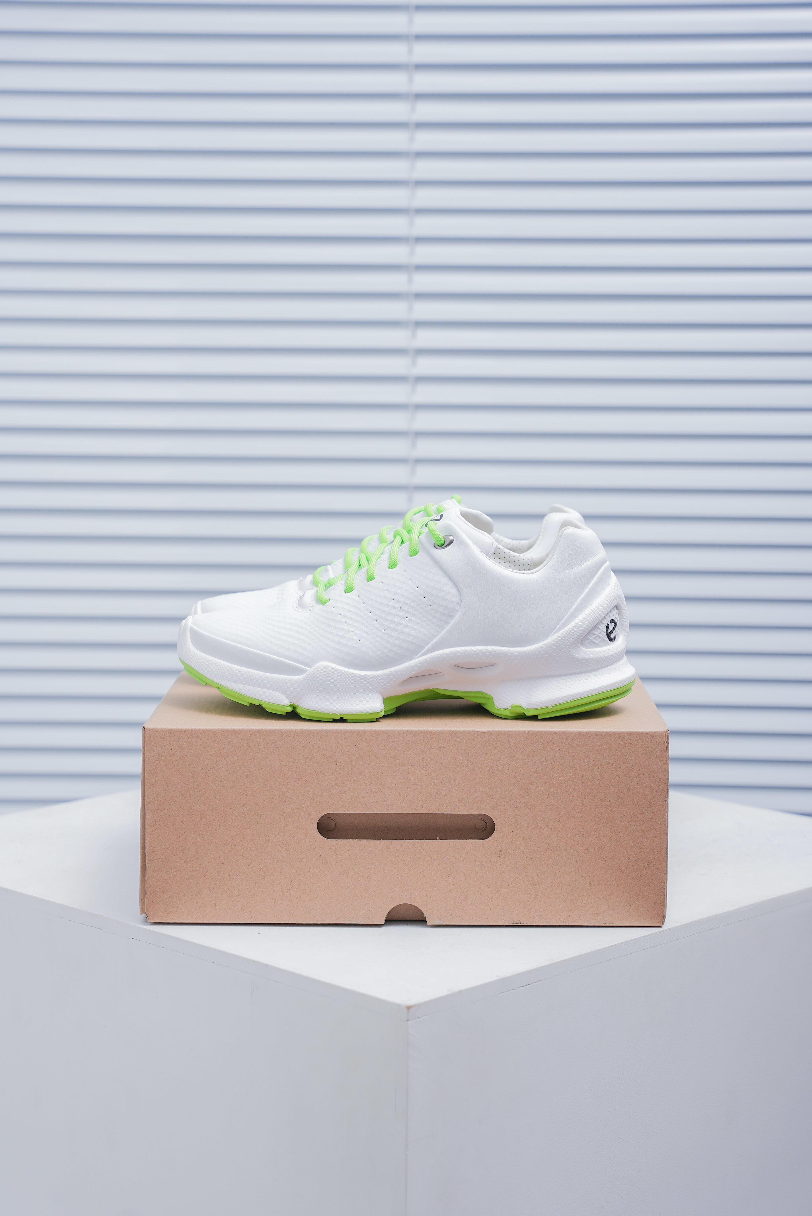 ECCO BIOM C-TRAIL(1:1)_img_4