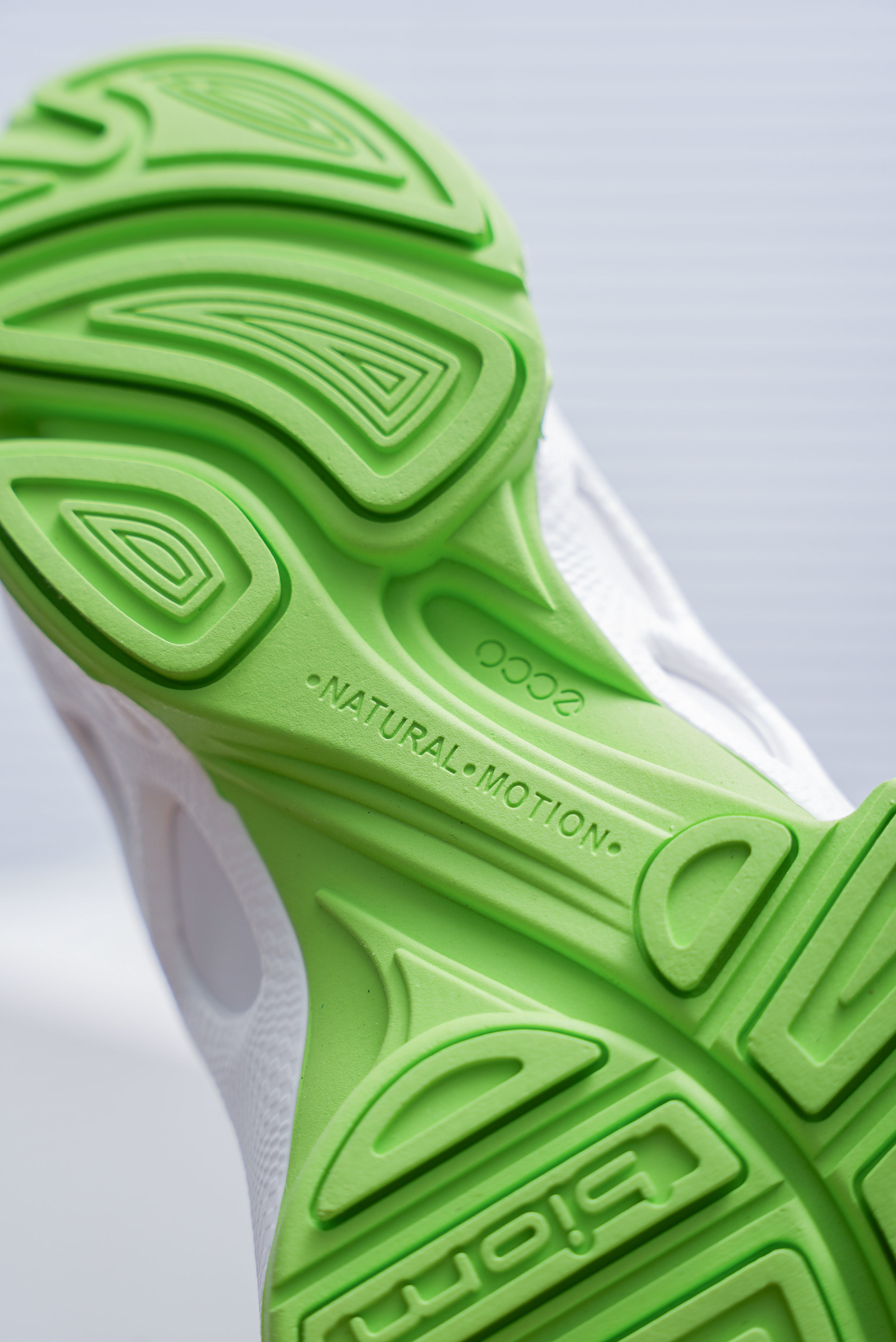 ECCO BIOM C-TRAIL(1:1)_img_8