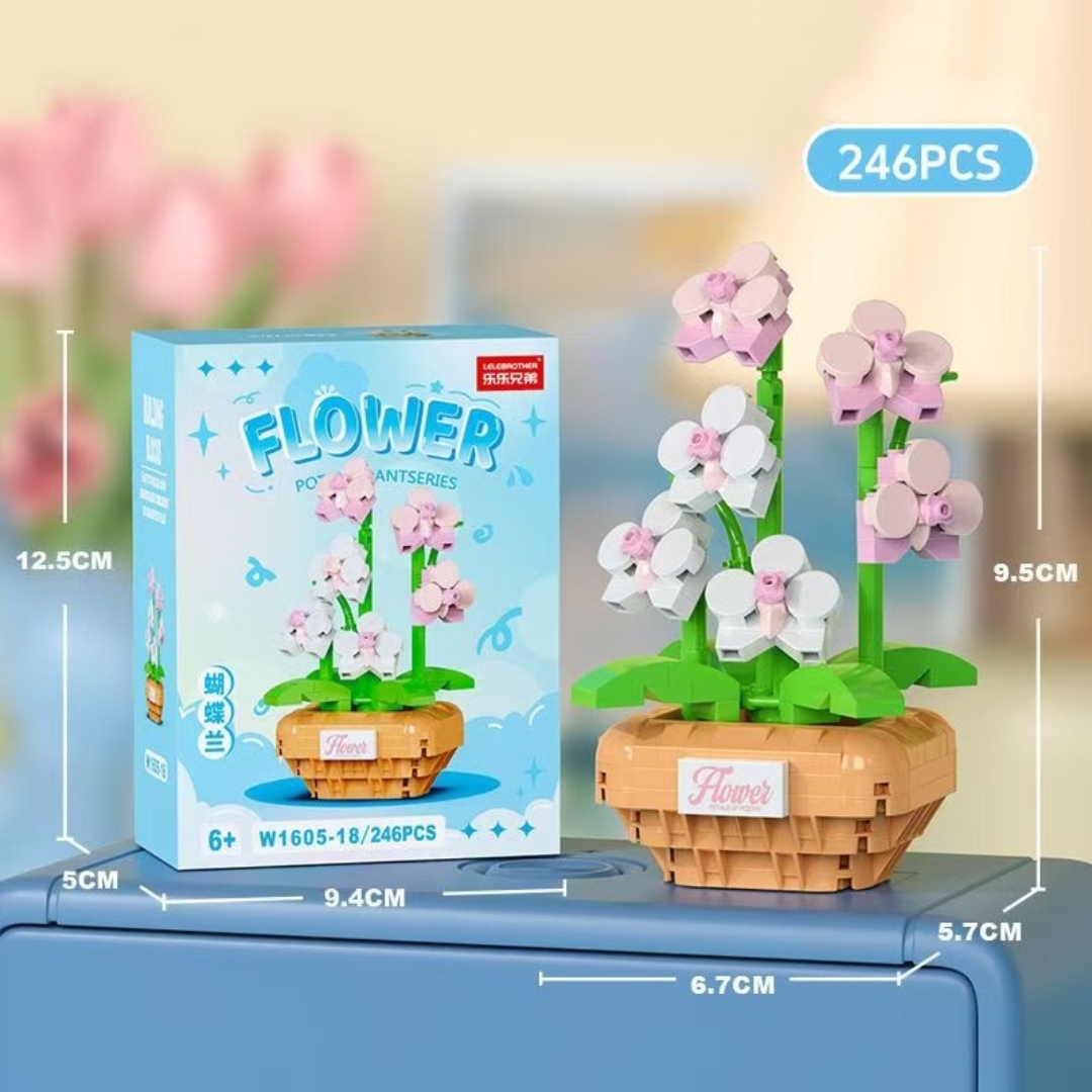 phalaenopsis -Potted Plant Series