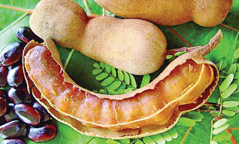 তেঁতুল প্রতি কেজি