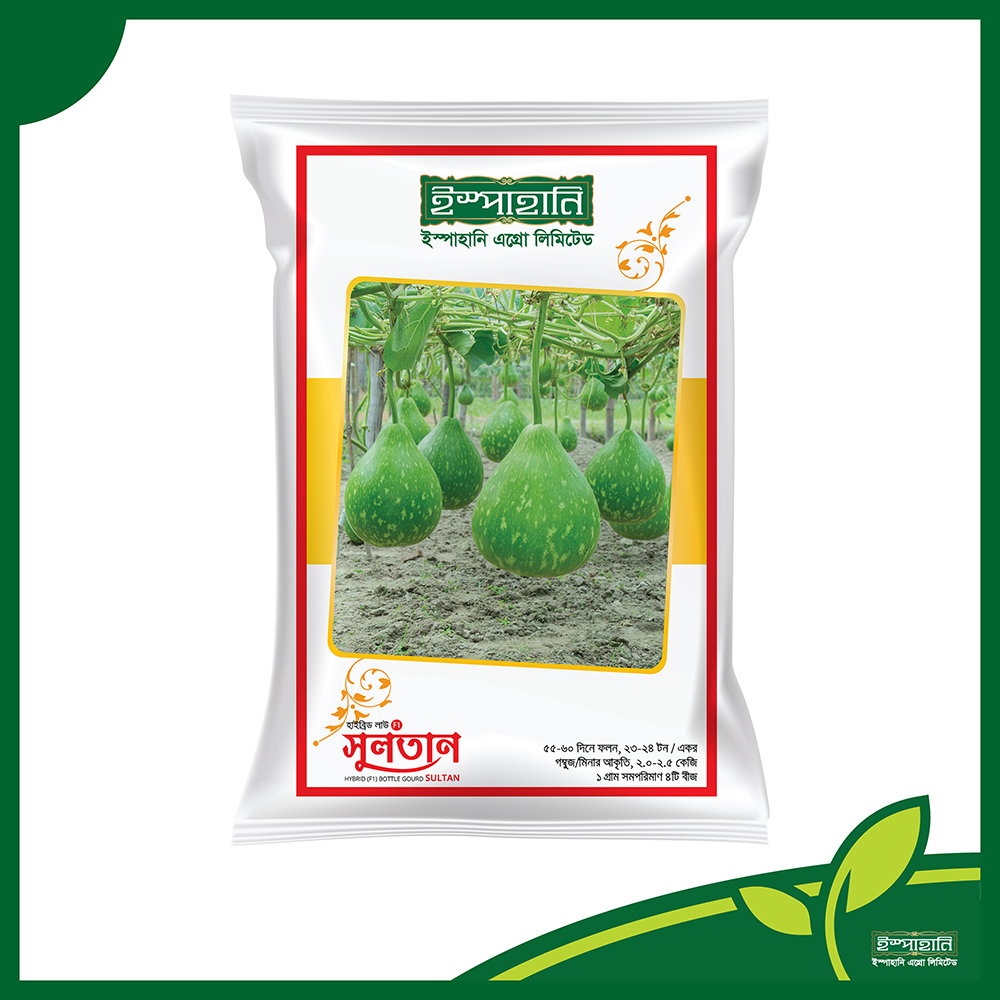 হাইব্রিড গোল লাউ বীজ সুলতান । F1 Hybrid Gourd Seeds Sultan