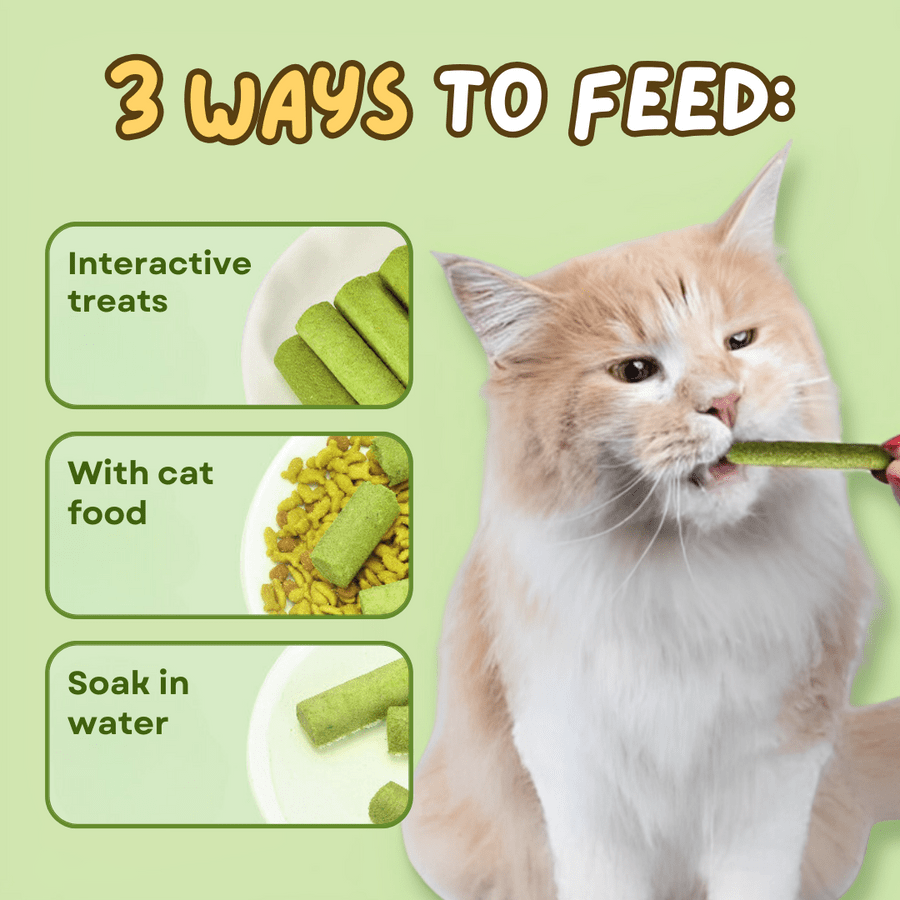 Cat Grass 6pcs Teething Stick set with Chicken Flavor (30g)_img_3