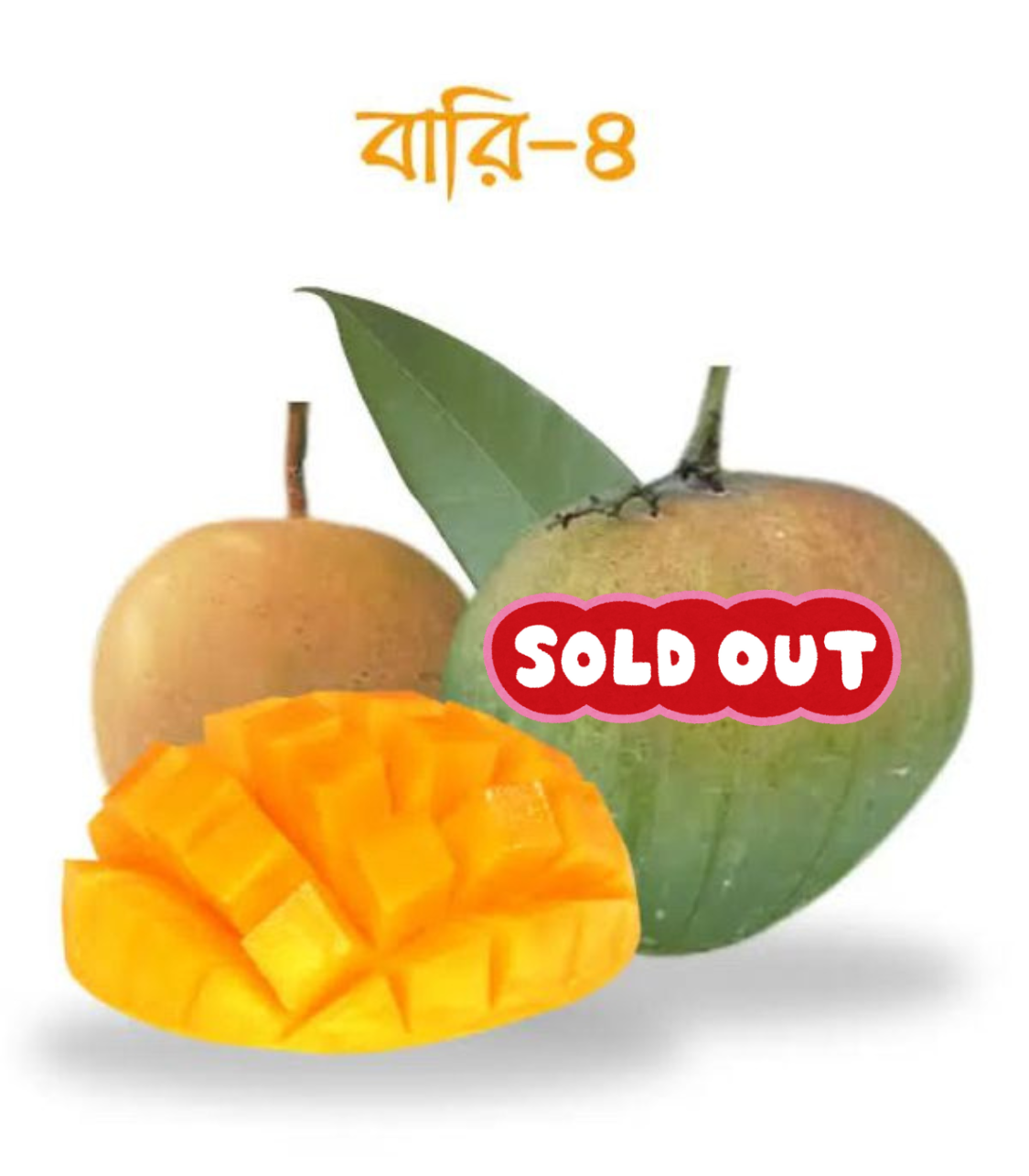 বারি ৪ আম ( Bari 4 Mango)