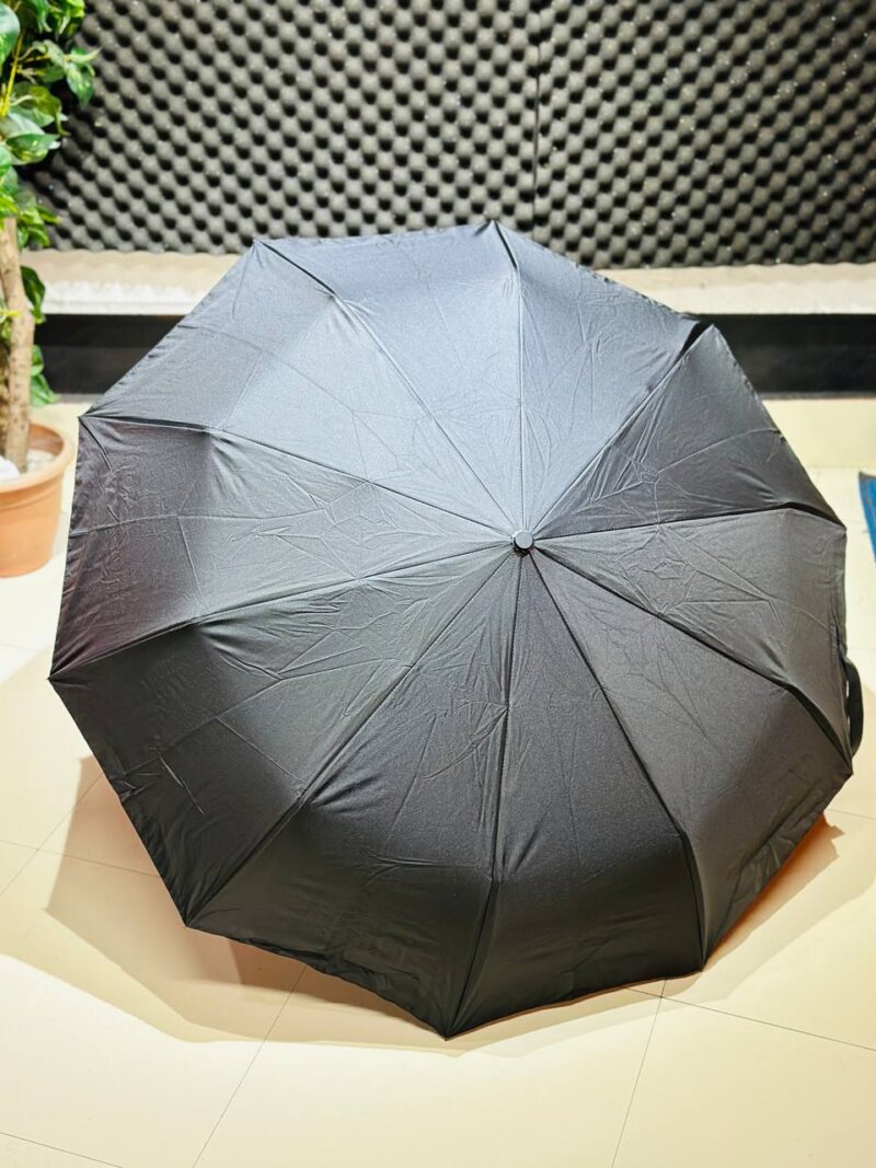Premium 12-Ribs Automatic Open/Close Wood Handle Umbrella_img_3