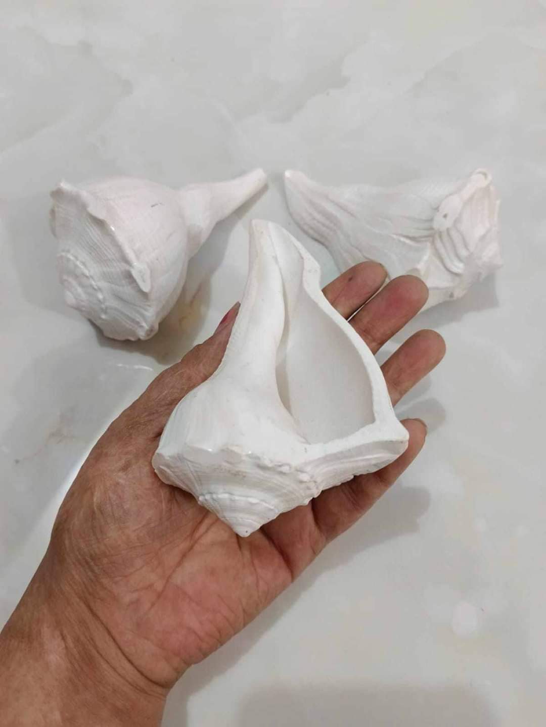 অভিষেক শঙ্খ - Image 2