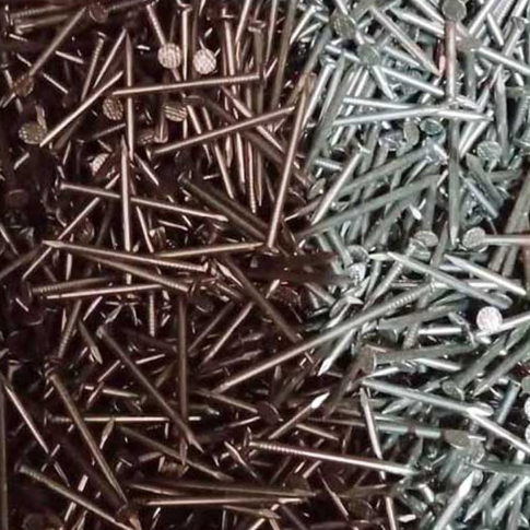 ছোট তারকাটা - Image 1