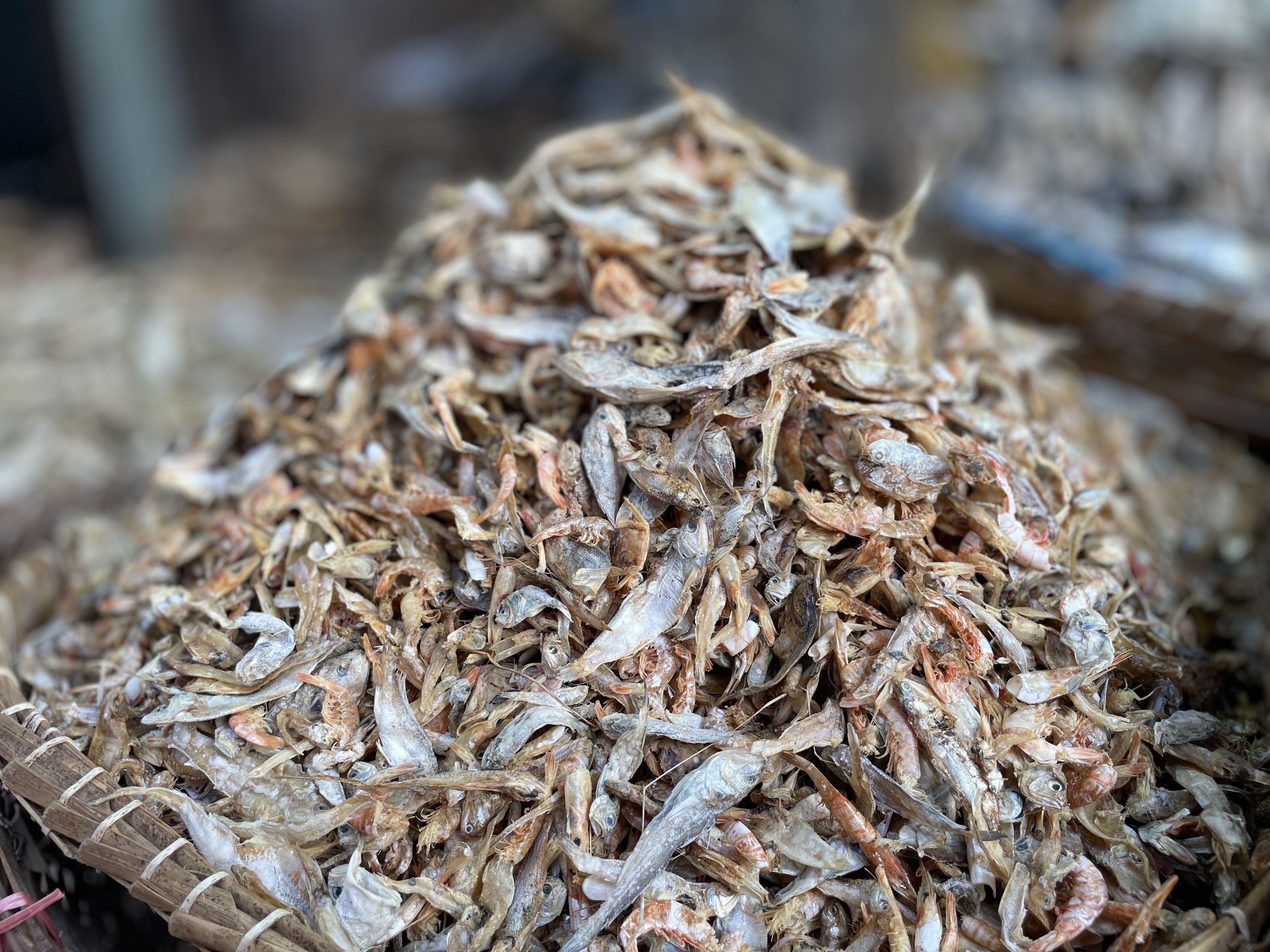 মিশ্র মাছের শুঁটকি (Mix Shutki)