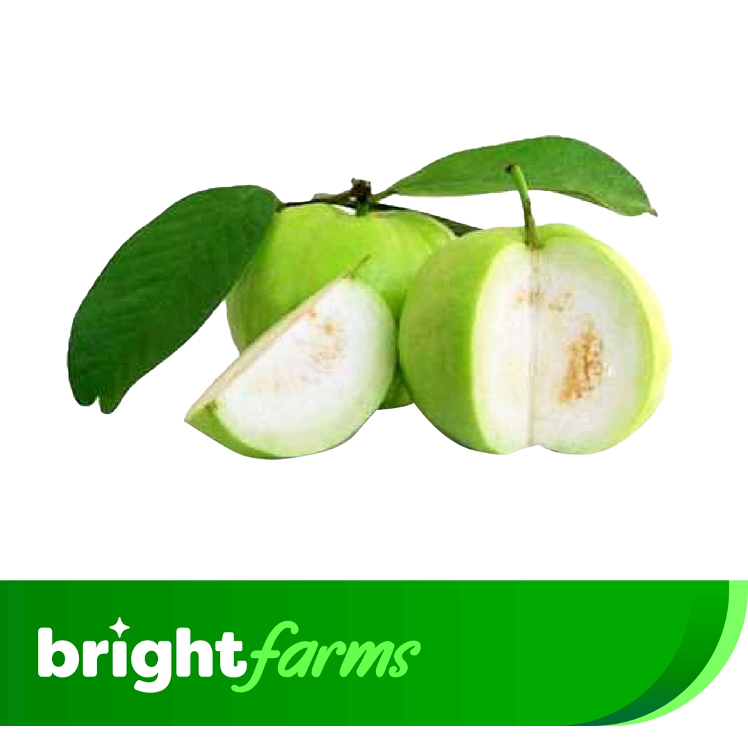 brightfarms Guava Premium 1kg (+50g)_img_0