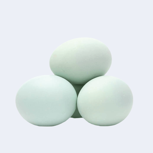 হাঁসের ডিম ৪ টি - Image 1