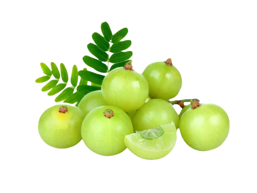 Amloki Gooseberry Regular 250g (±5g)_img_0