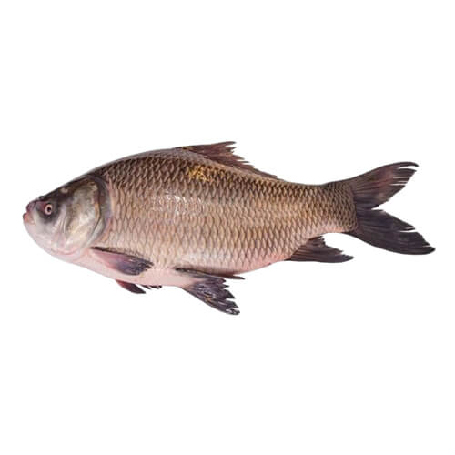 কাতলা মাছ 1kg (3kg+) - Image 1