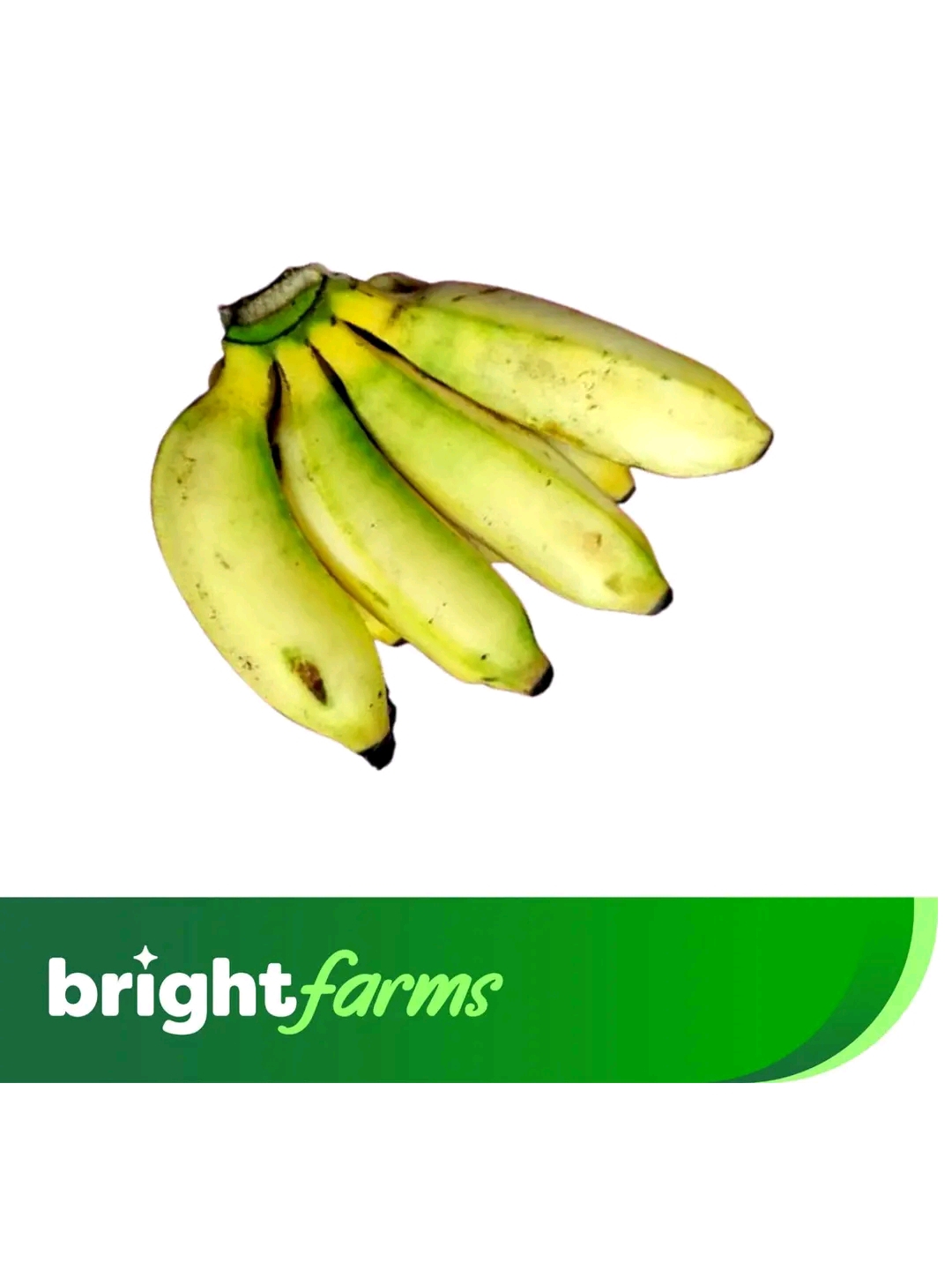 Brightfarms Banana (Sobri Kola) Semi Ripen 6 Pieces