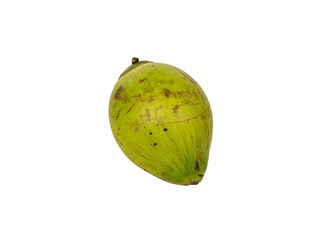 Green Coconut (Daab) Small 1 Piece_img_0