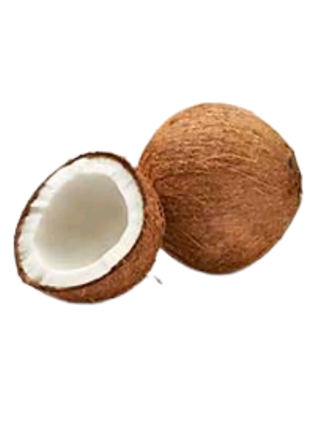 Coconut Narikel 1 Piece_img_0