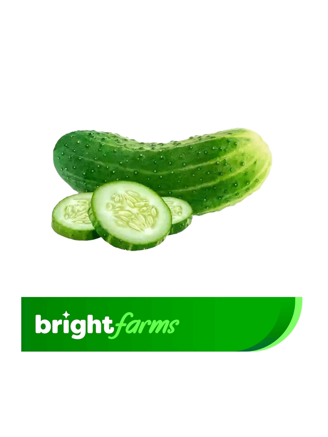 brightfarms Cucumber Local (Shosha) 500g (+20g)_img_0