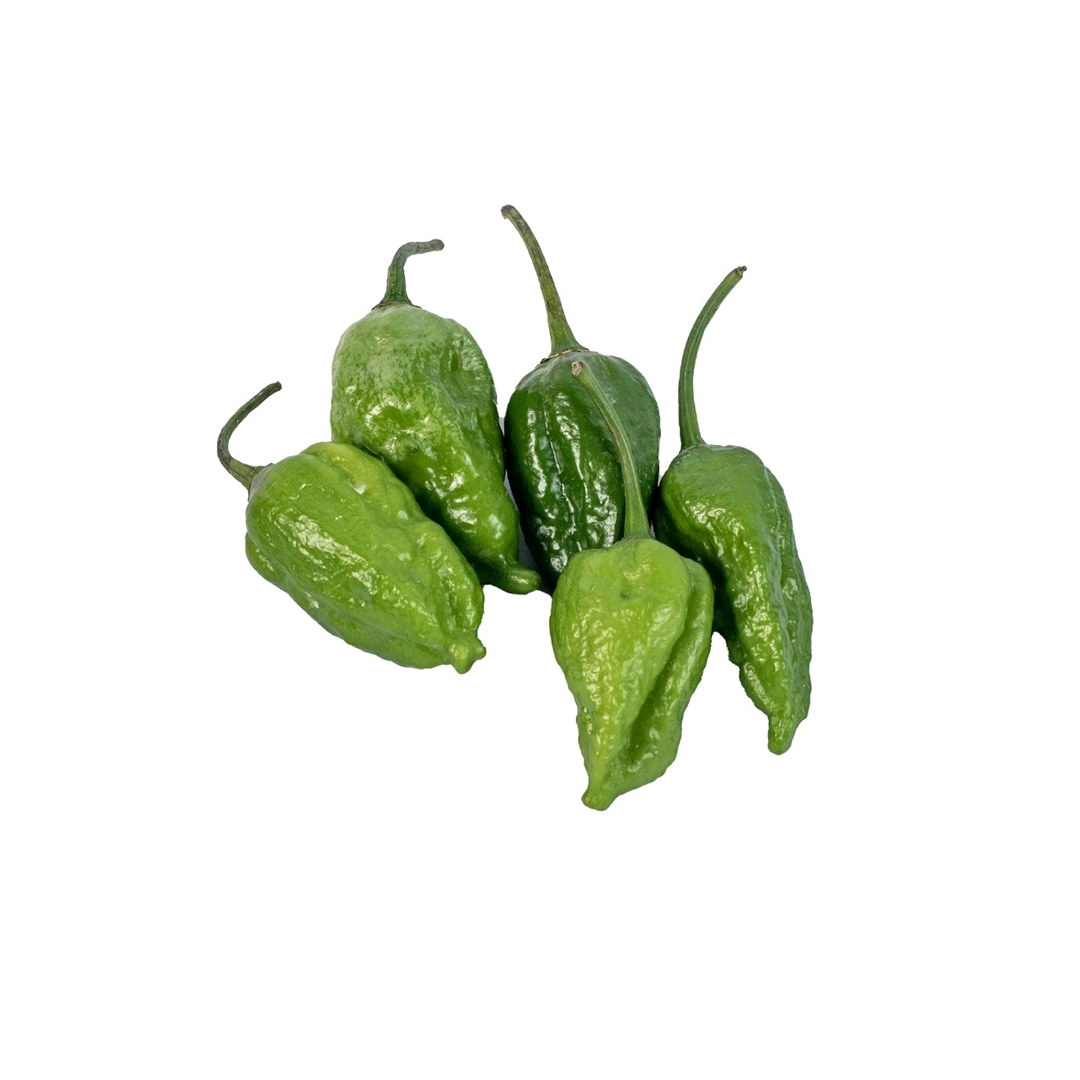 Bombay Chili 5 Pieces_img_0