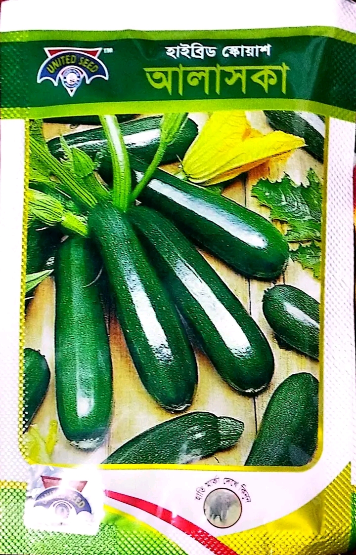 হাইব্রিড জাতের স্কোয়াস বীজ আলাস্কা। Hybrid variety squash seeds Alaska_img_0