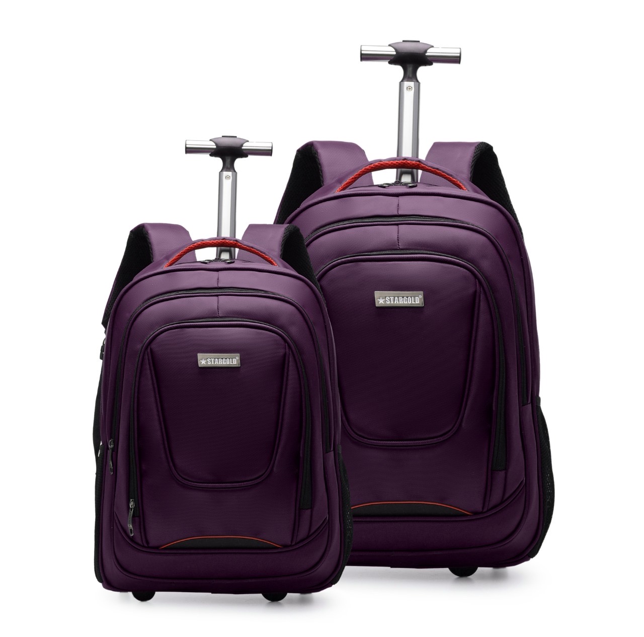 Backpack TrolleyBag_img_2