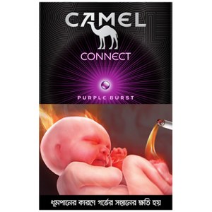 Camel Purple Burst 20 Pieces (MRP 200 Tk + Handling Charge 20 Tk)_img_0