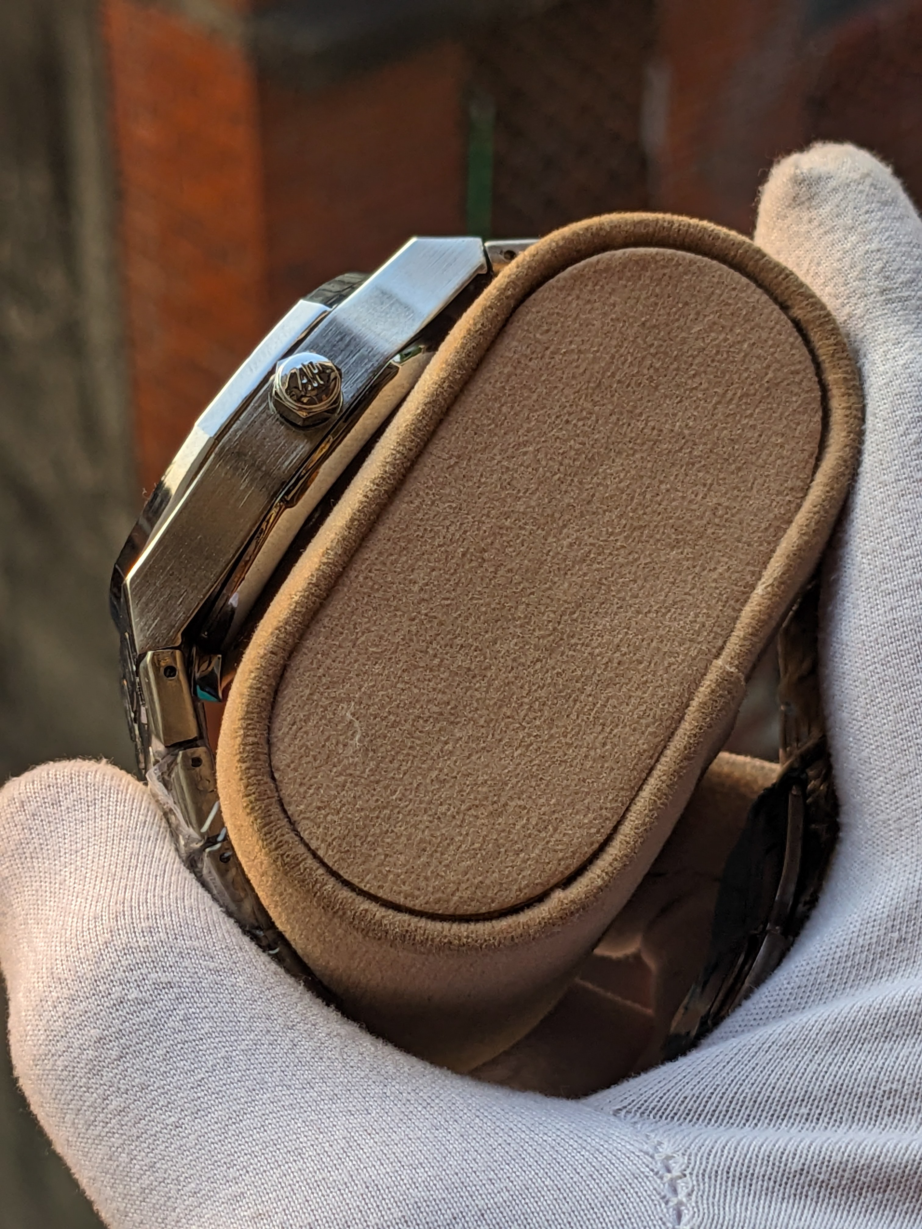 AP skeleton White_img_2