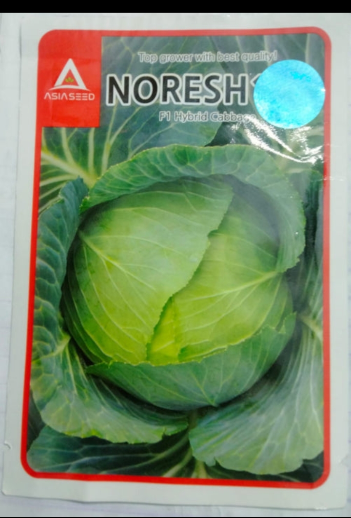 হাইব্রিড বাঁধাকপি বীজ নরেশ ১০১ । F1 Hybrid Cabbage Seed Noresh 101_img_0