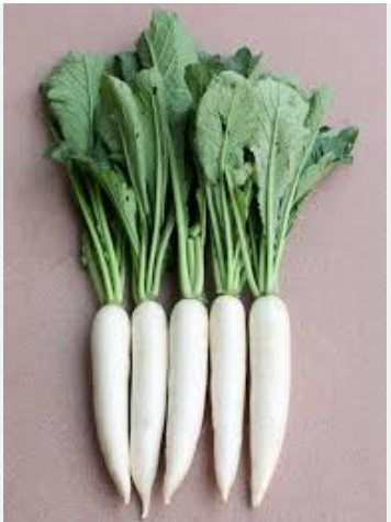 হাইব্রিড কোরিয়ার জাতের মূলার বীজ । Hybrid Korean radish seeds._img_0