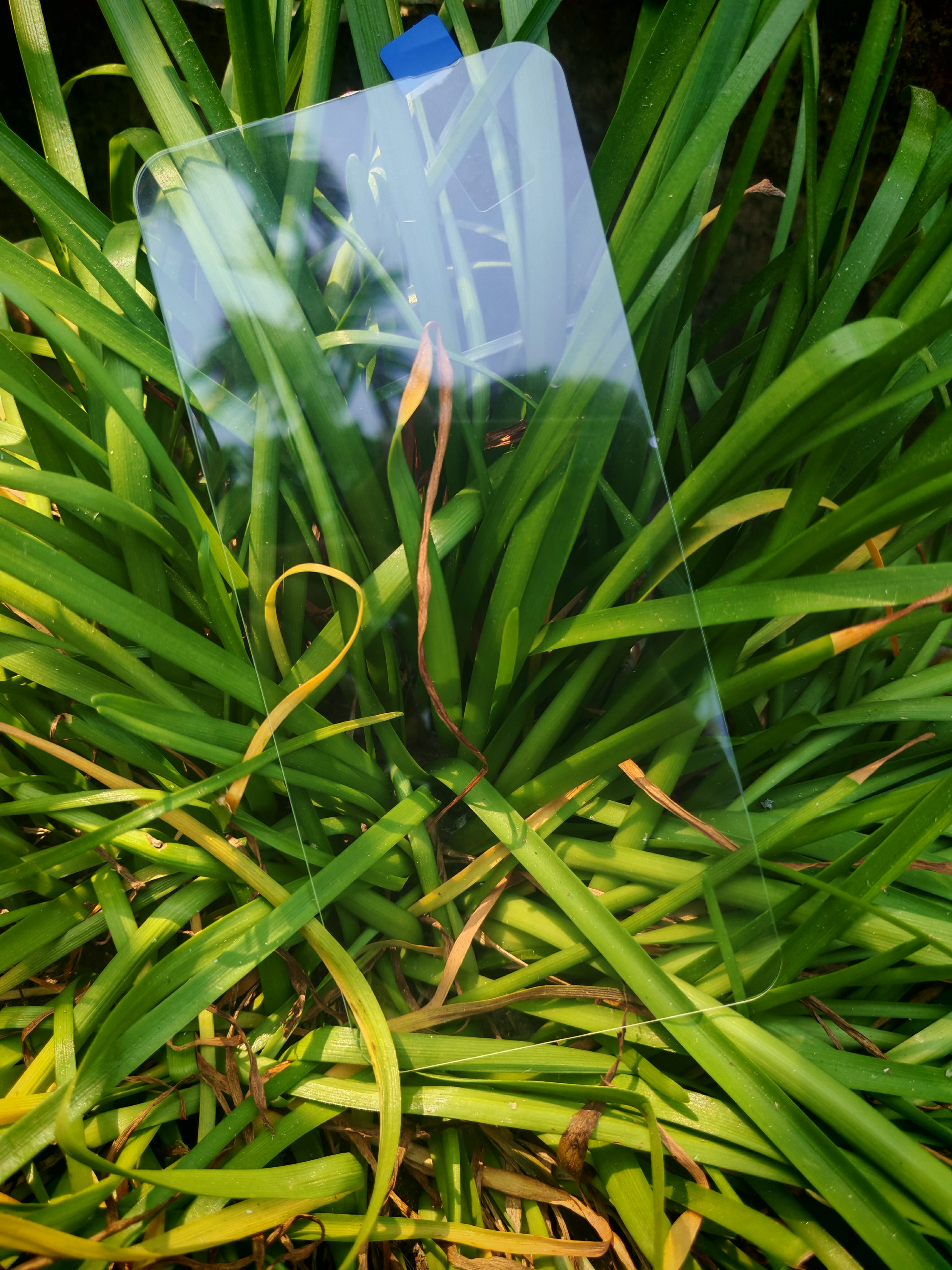 Nothing CMF2PRO Screen Protector_img_1