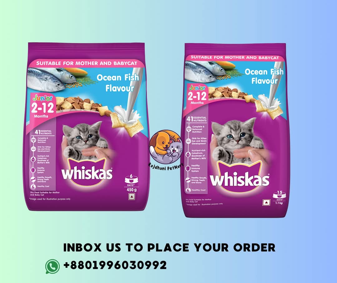 Whiskas Jr Ocean Fish Flavor 450gm