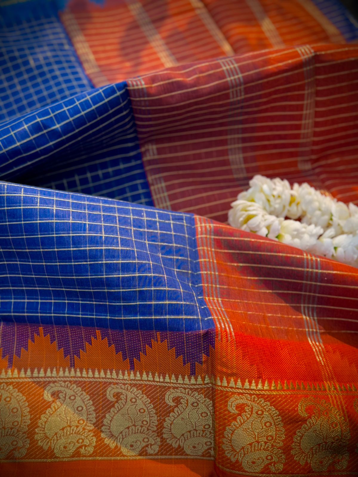 Indian Gonga jamuna par_img_3