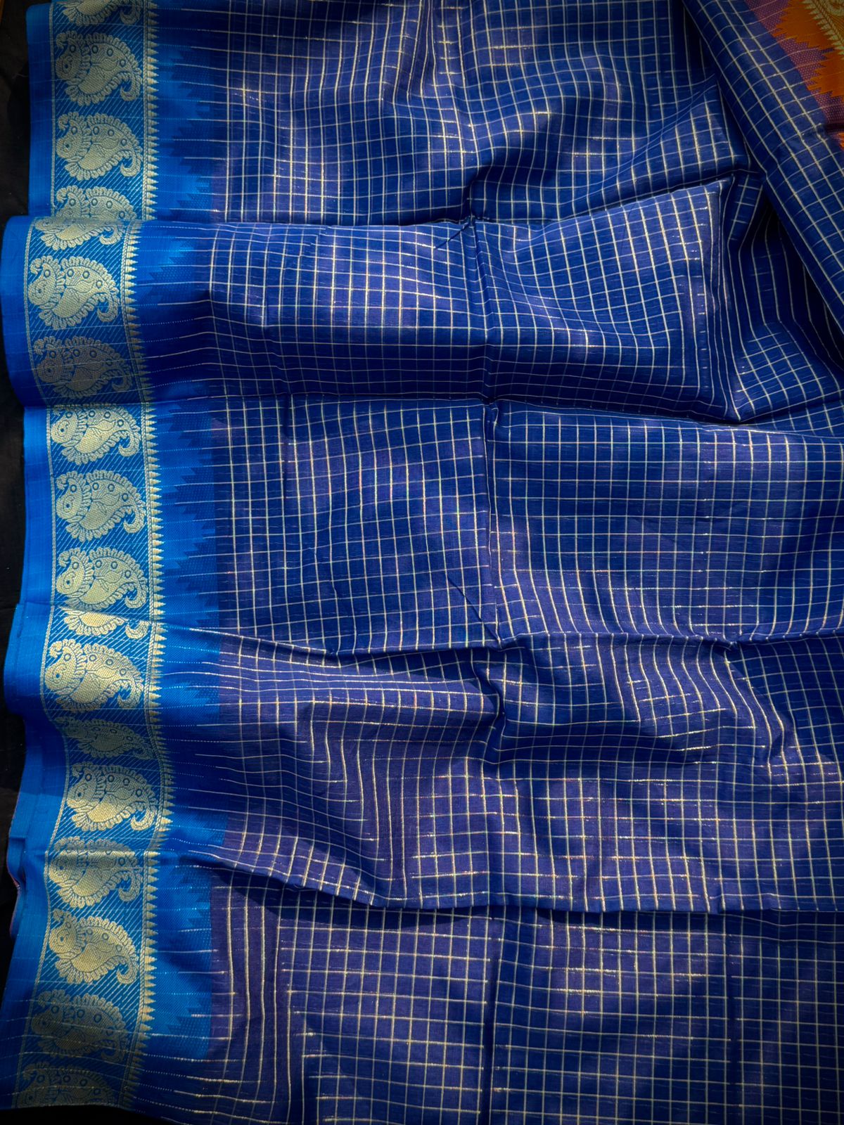 Indian Gonga jamuna par_img_4