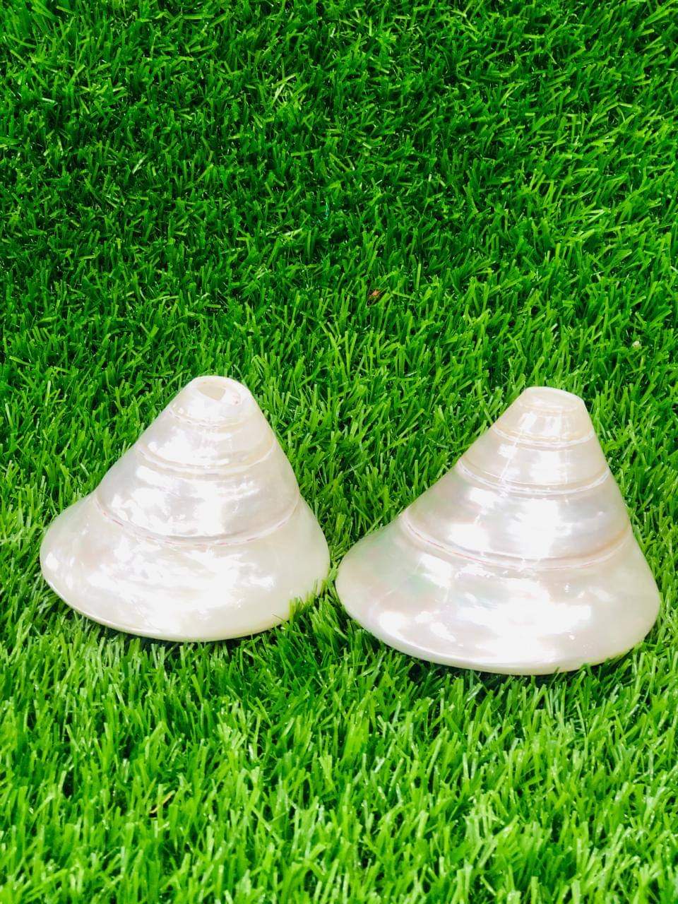 ক্রিস্চিয়াল শঙ্খ - Image 2