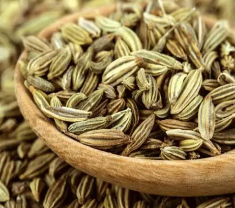 গুয়ামুরি (Guamuri) বা মৌরি (Fennel) - Image 1
