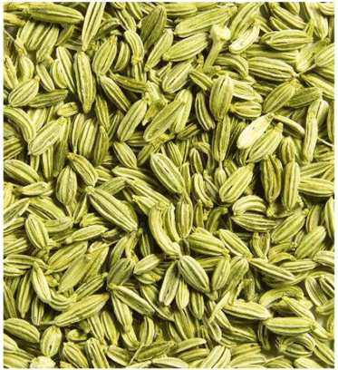 গুয়ামুরি (Guamuri) বা মৌরি (Fennel) - Image 2