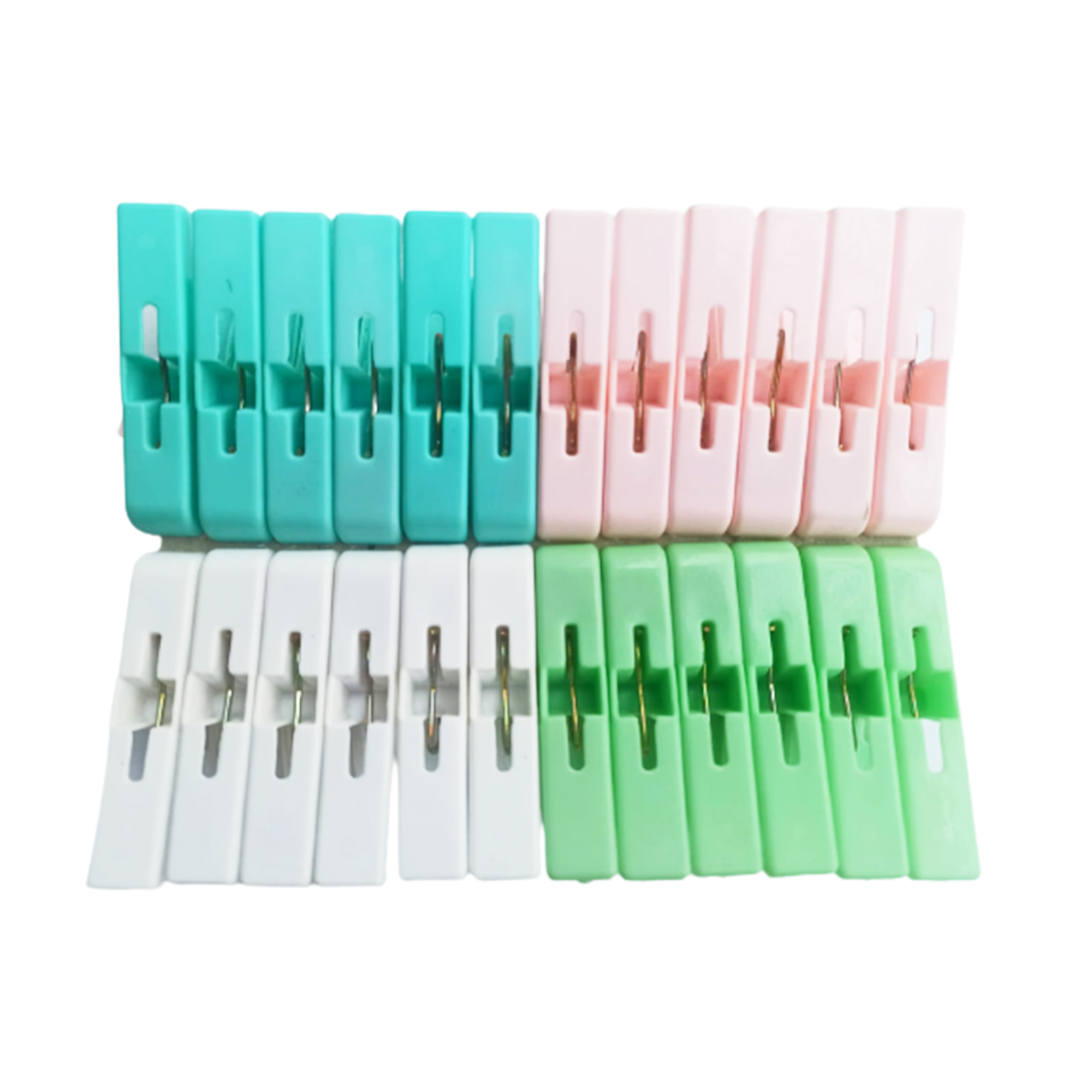 Proclean Regular Cloth Clip ( 24pcs ) CC-1534_img_4
