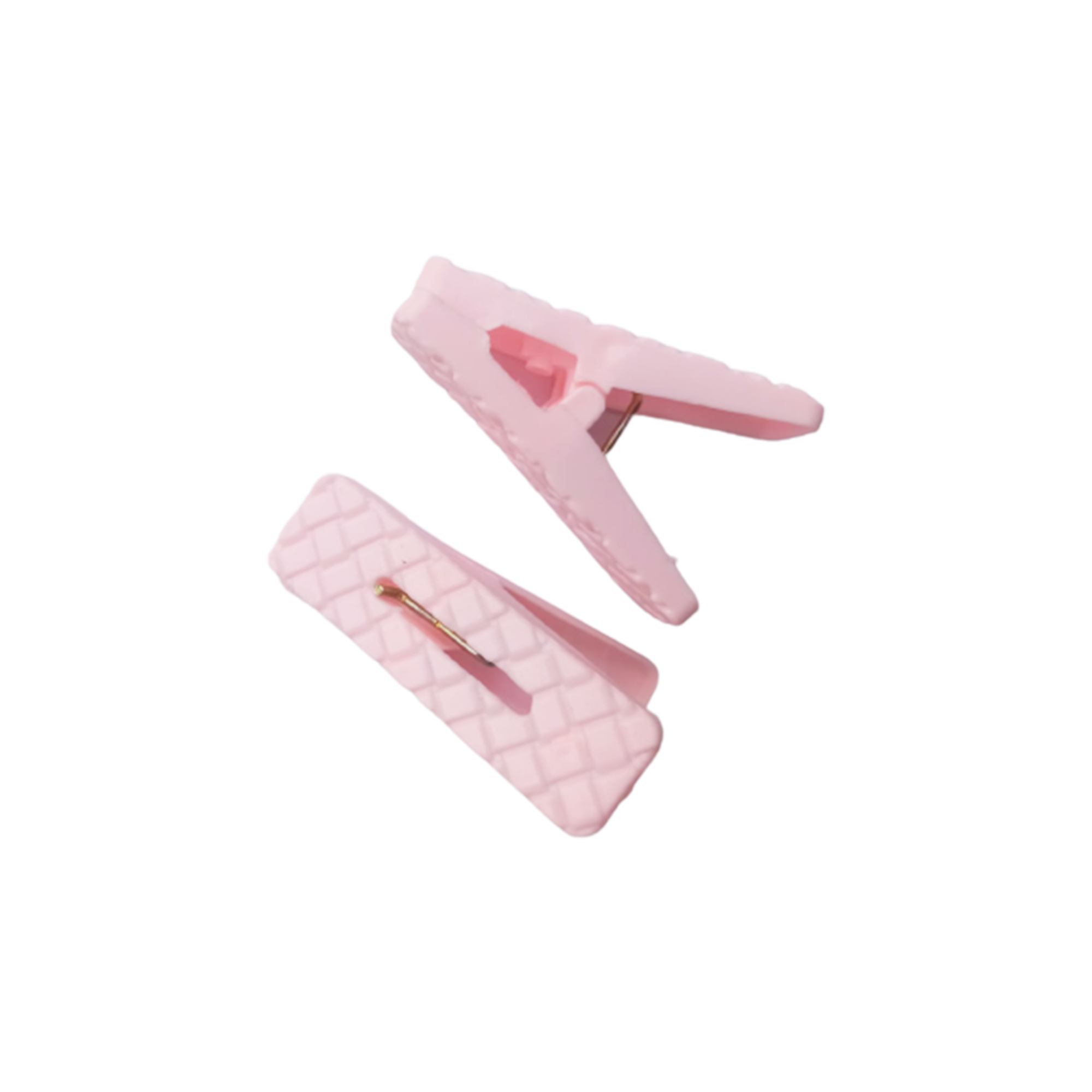 Proclean Regular Cloth Clip ( 20pcs ) CC-1541_img_2