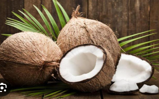 নারিকেল - Image 1