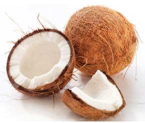 নারিকেল - Image 2