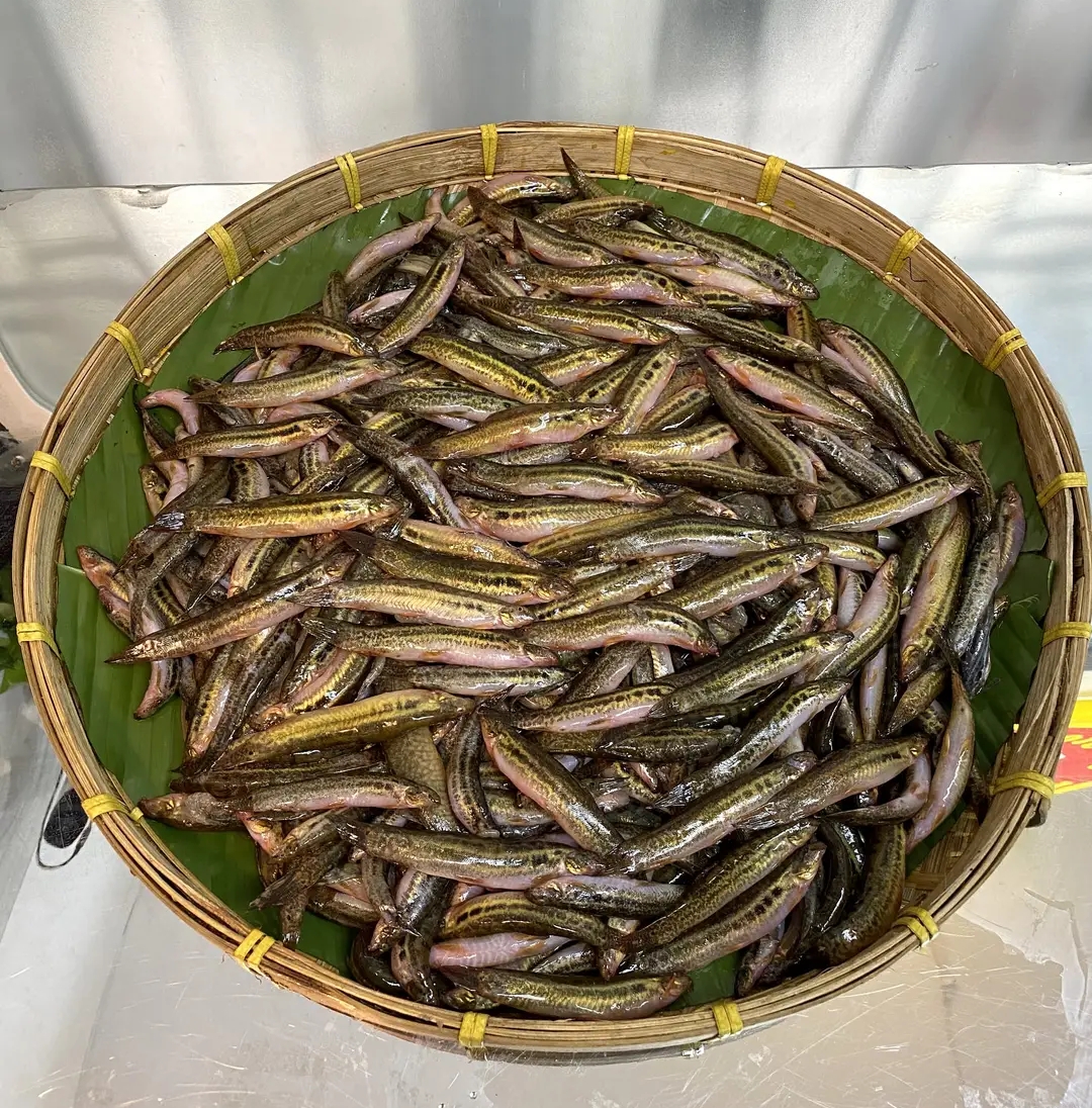 হাওরের গুত্তম মাছ ৫০০ গ্ৰাম