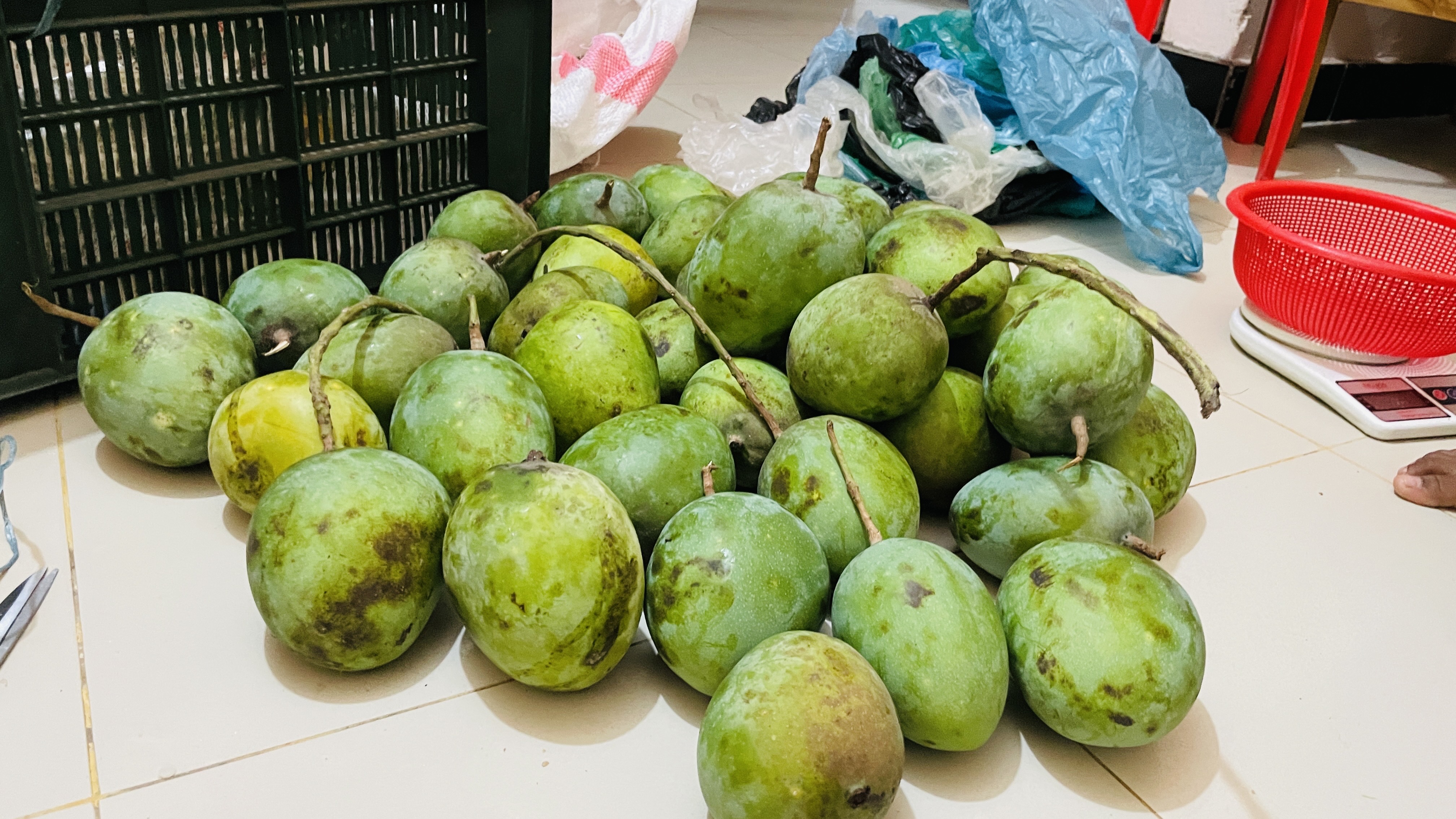 সাতক্ষীরার গোবিন্দভোগ আম (Gobindovog Mango)_img_7