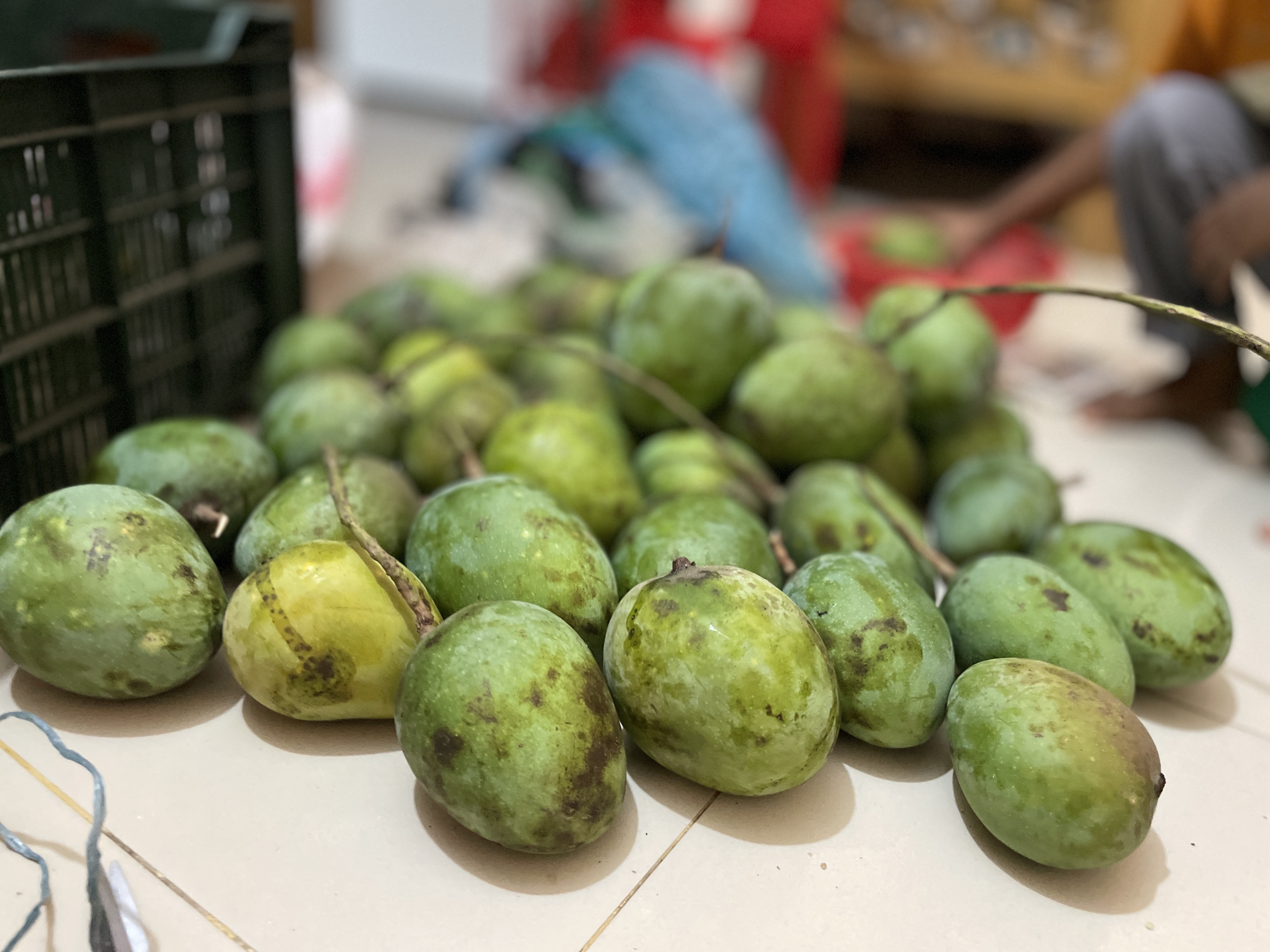 সাতক্ষীরার গোবিন্দভোগ আম (Gobindovog Mango)_img_8