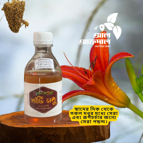 গারো পাহাড়ের চাকের মধু (Garo Pahare Modhu) | Garo Honey