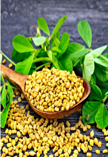 মেথি / ১০০ গ্রাম - Image 1