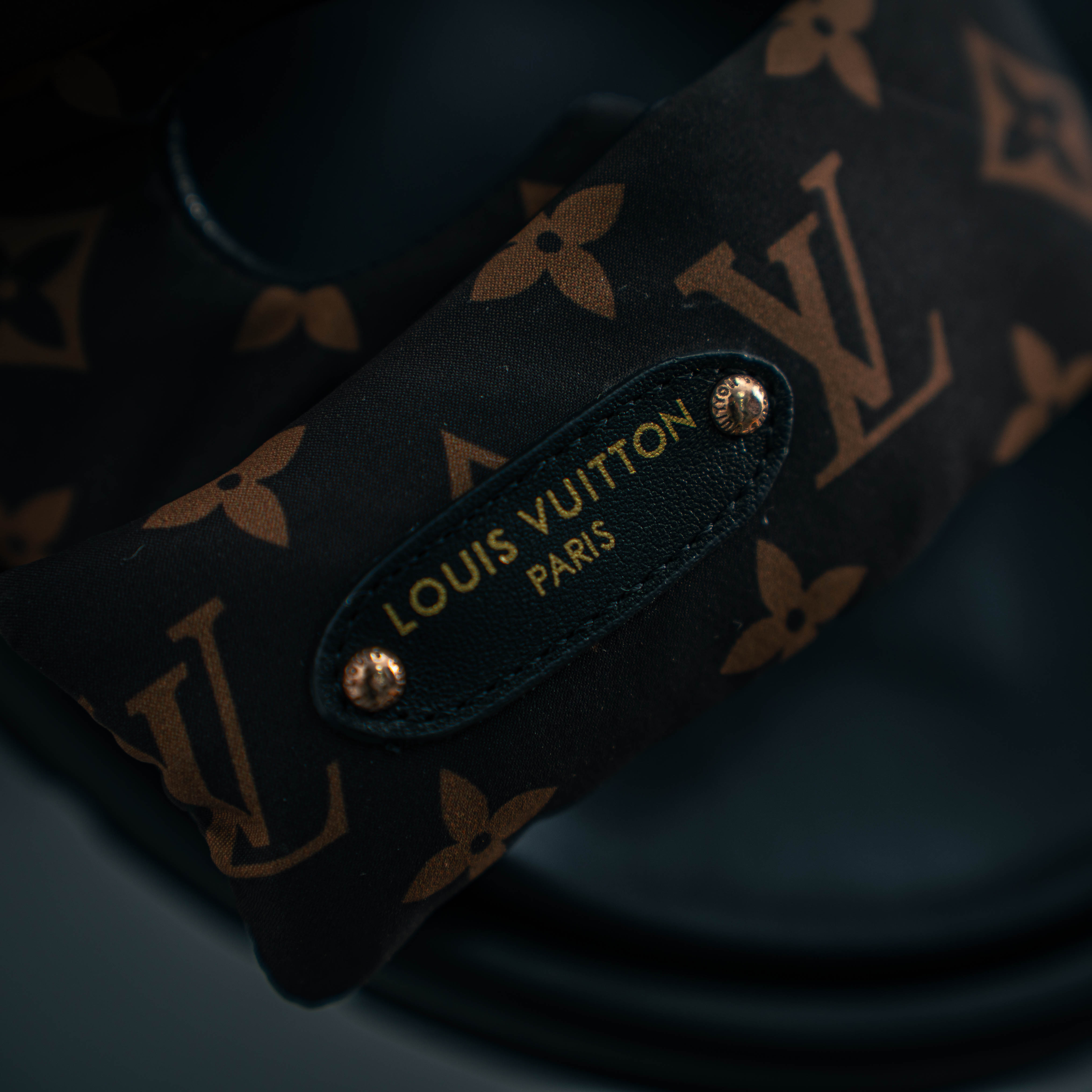 Louis Vuitton Pool Pillow Flat Mule (1:1)_img_6