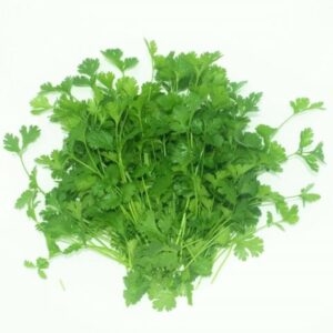 ধনে পাতা 100g_img_2