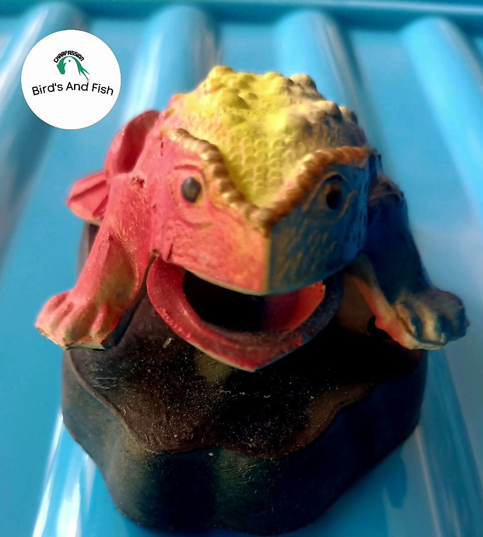 একুরিয়াম শোপিজ ব্যাংগ