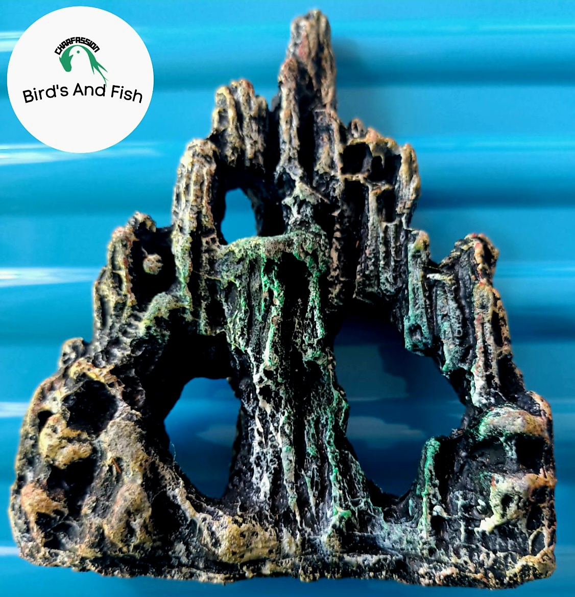 একুরিয়াম শোপিজ পাহার_img_1