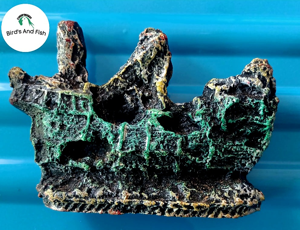 একুরিয়াম শোপিজ নোকা_img_1