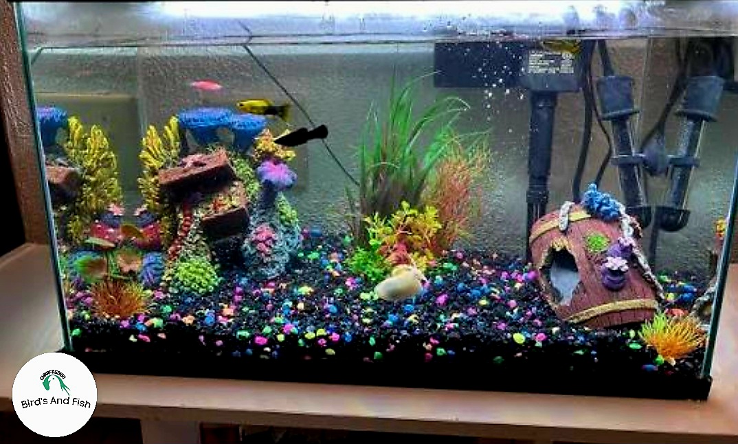 একুরিয়াম শোপিজ তাজমহল