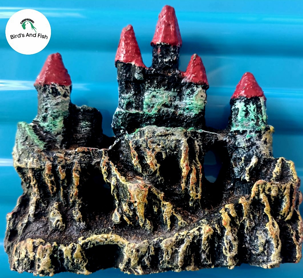 একুরিয়াম শোপিজ তাজমহল_img_1