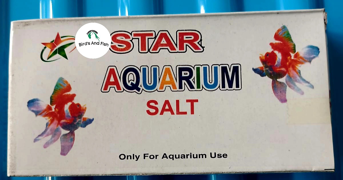 একুরিয়াম লবণ বড় বক্স_img_1